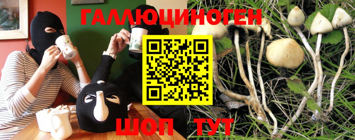 Галлюциногенные грибы GOLDEN TEACHER Волгодонск